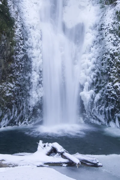 Multnomah Falls Frozen — Stock Photo, Image