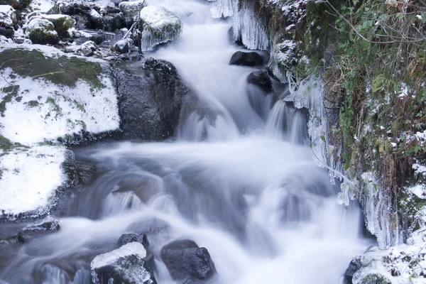 Wahkeena faller — Stockfoto