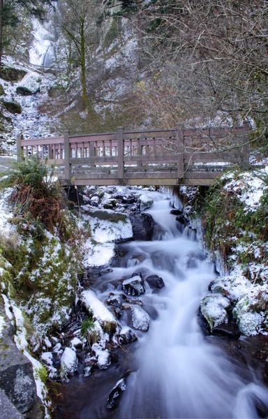 Wahkeena faller — Stockfoto