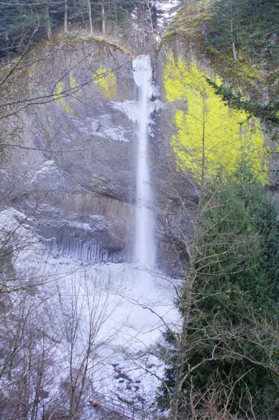 Latourell Cachoeira congelada — Fotografia de Stock