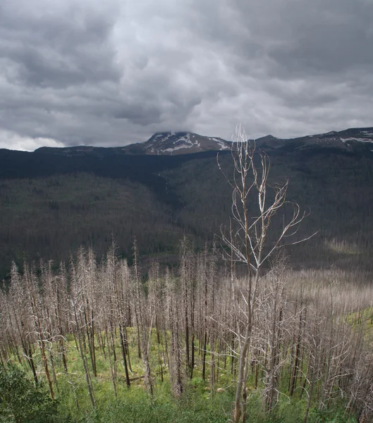 Stormy sky — Stock Photo, Image