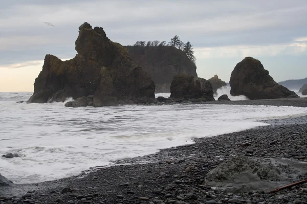 Ruby Beach — Stock fotografie