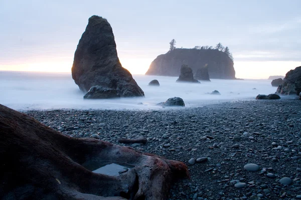 Ruby Beach — Stock fotografie