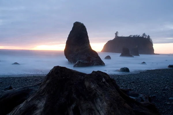 Ruby Beach — Stockfoto