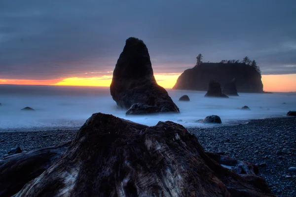 Ruby Beach — Stock Photo, Image