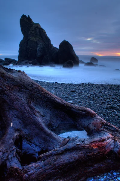 Ruby Beach — Stock Photo, Image