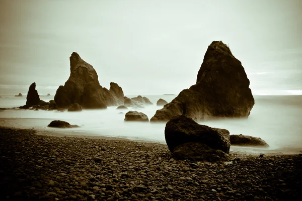 Ruby Beach — Stock Photo, Image