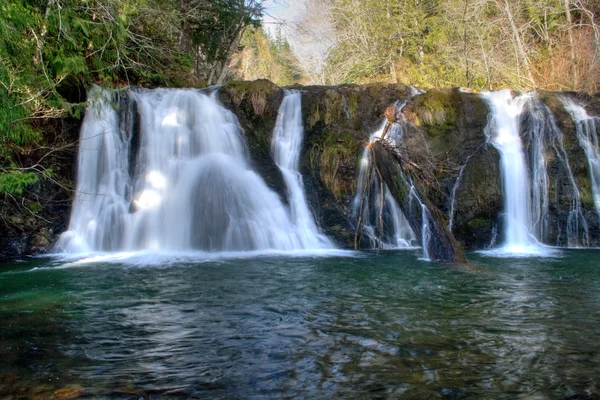 Beaver Creek Falls —  Fotos de Stock