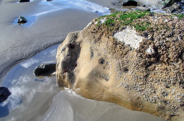 Seconda spiaggia — Foto Stock