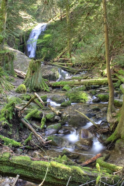 Kol creek falls — Stockfoto