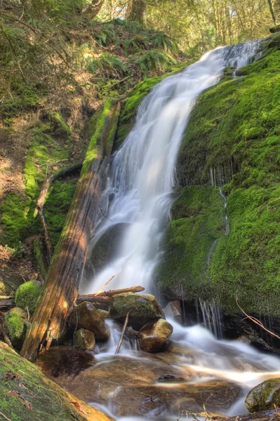 Coal Creek Falls — Stockfoto