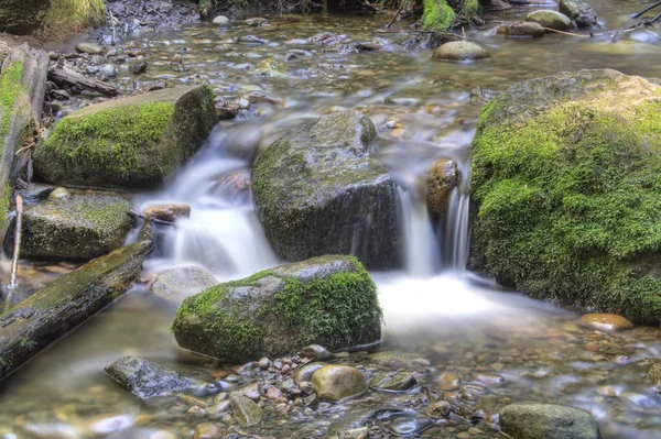 Řeka na jaře — Stock fotografie