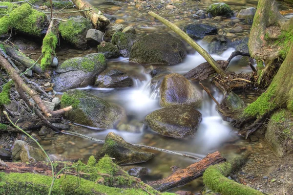 Řeka na jaře — Stock fotografie