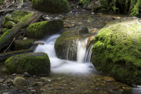 Rivier in het voorjaar — Stockfoto