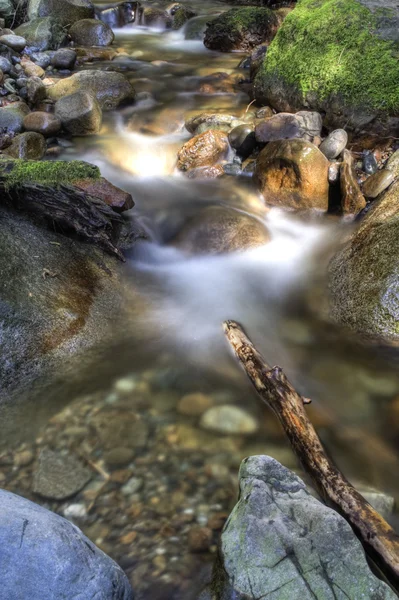 Río en primavera —  Fotos de Stock