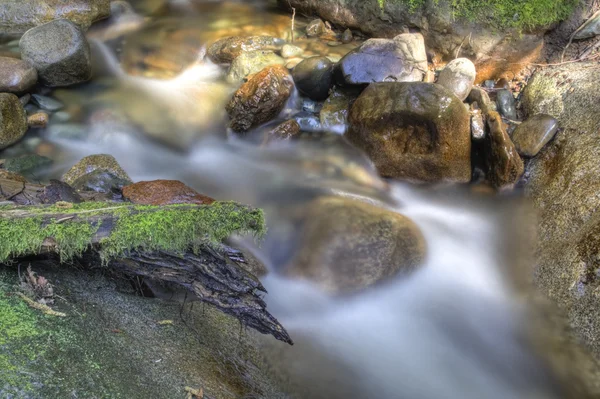 春の川 — ストック写真