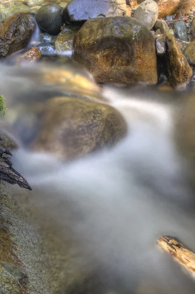 İlkbaharda nehir — Stok fotoğraf