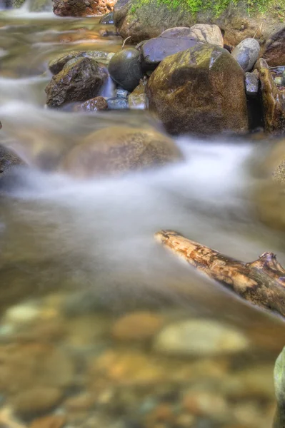 Rivier in het voorjaar — Stockfoto