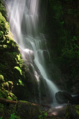 Merriman Falls