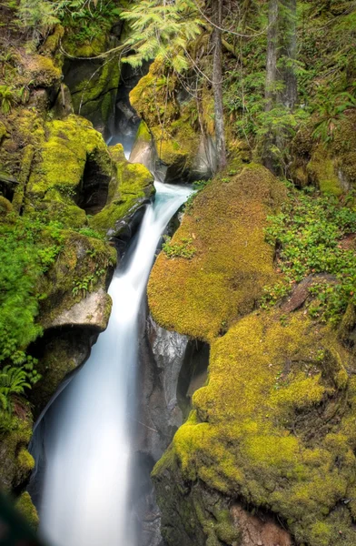 Ladder Creek Falls — Stock Photo, Image