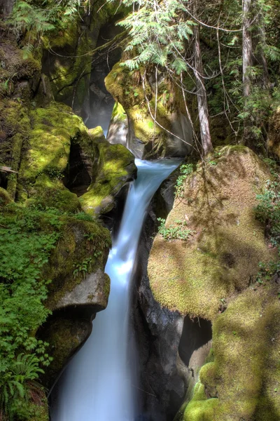 Ladder Creekin putoukset — kuvapankkivalokuva