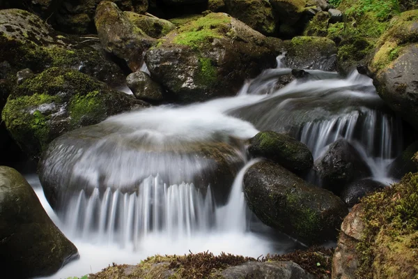 Bunch Creek Falls — Stock Photo, Image