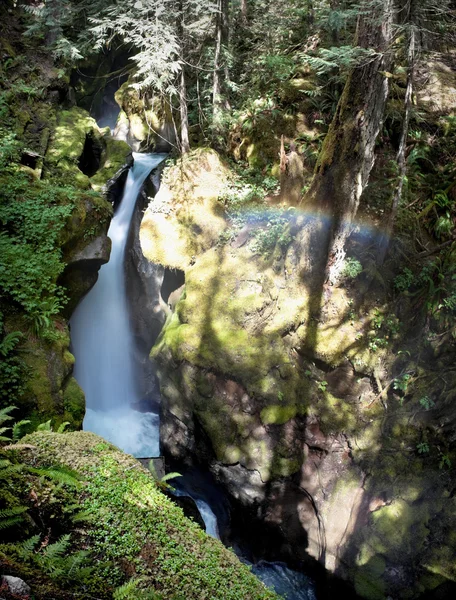 Ladder Creek Panorama — Stockfoto