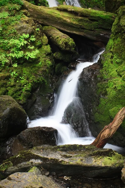 Bos Creek Falls — Stockfoto