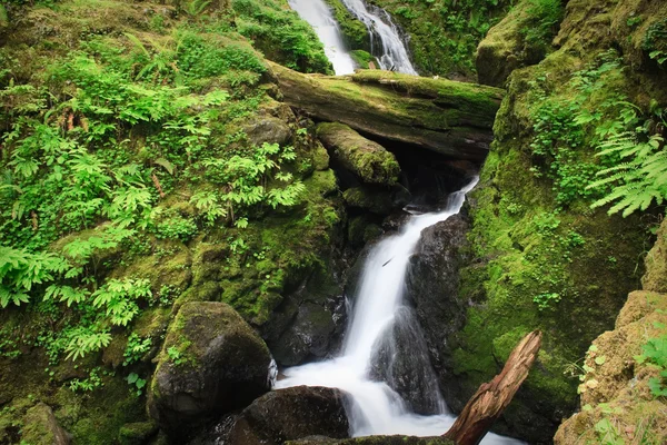Monte Creek Falls — Fotografia de Stock