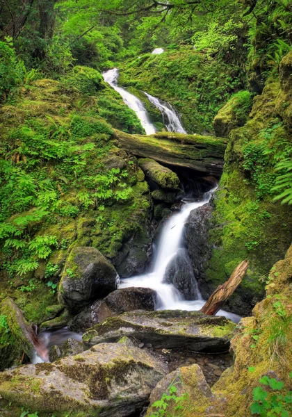 Bunch Creek Falls — Stock Photo, Image