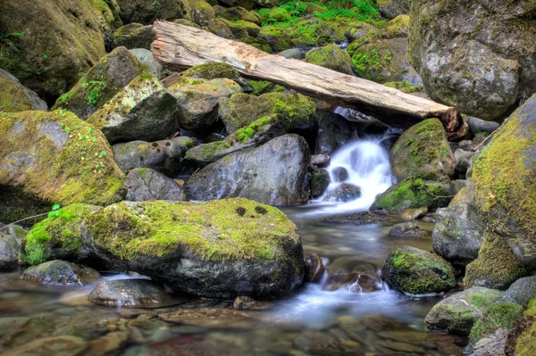 Bunch Creek Falls — Stock Photo, Image