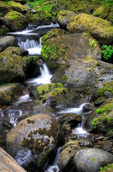 Bunch Creek Falls — Stock Photo, Image