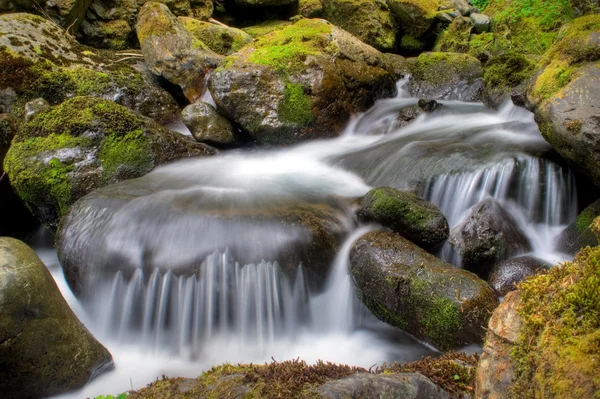 Gäng Creek Falls — Stockfoto