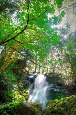 Merriman Falls
