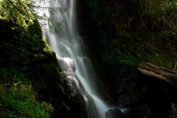 Merriman Falls — Stock Photo, Image