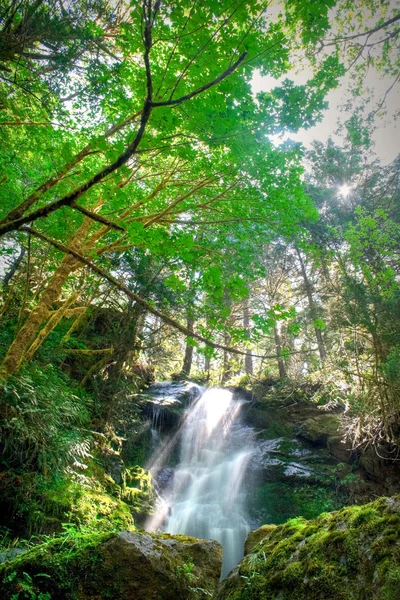 Merriman Falls — Stock Photo, Image