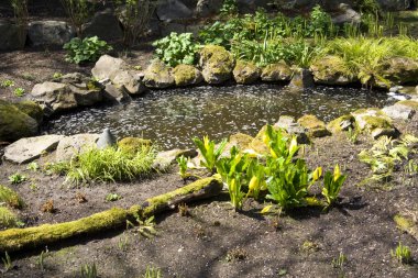 Gölet ve çiçekler