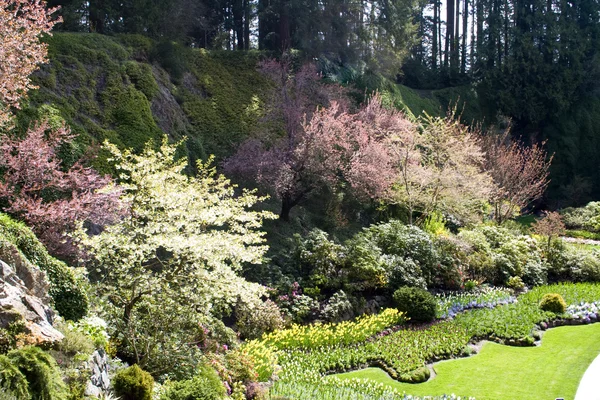 Formal Garden — Stock Photo, Image