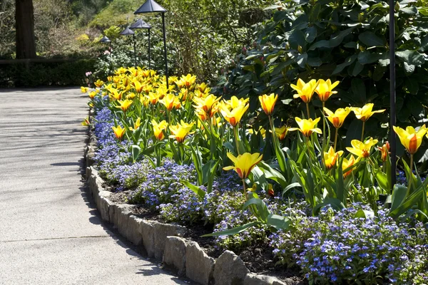 Fußweg und Blumen — Stockfoto