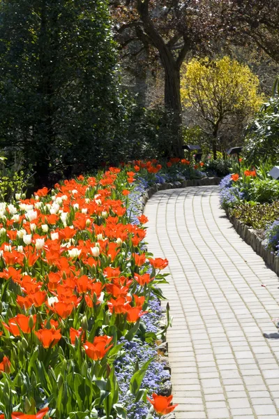 Vandringsled och blommor — Stockfoto