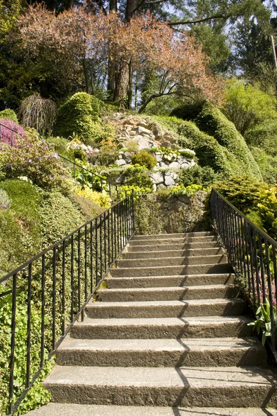 Escalier de jardin — Photo
