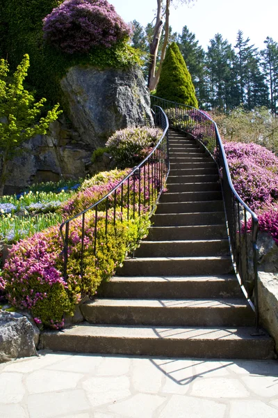 Trädgården trappa — Stockfoto