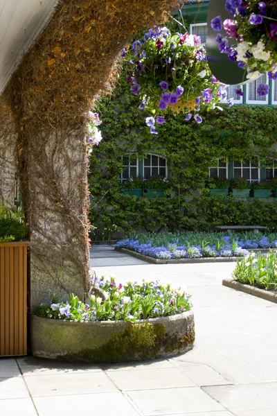 Pillar and flowers — Stock Photo, Image