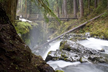 Sol duc Falls