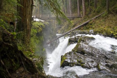 Sol duc Falls
