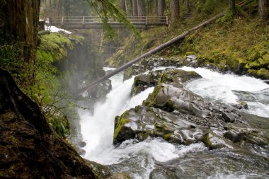 Sol duc Falls