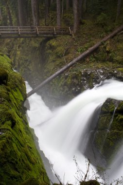 Sol duc Falls