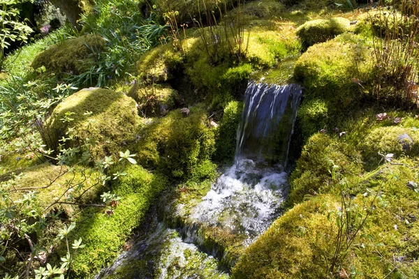 Tuin waterval — Stockfoto