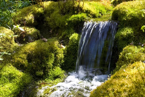 Trädgård vattenfall — Stockfoto