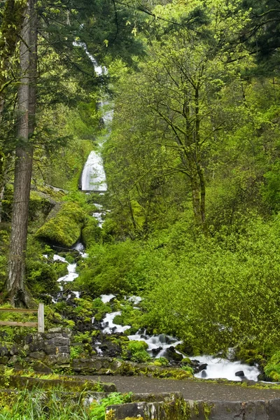 Wahkeena Falls — Stock Photo, Image